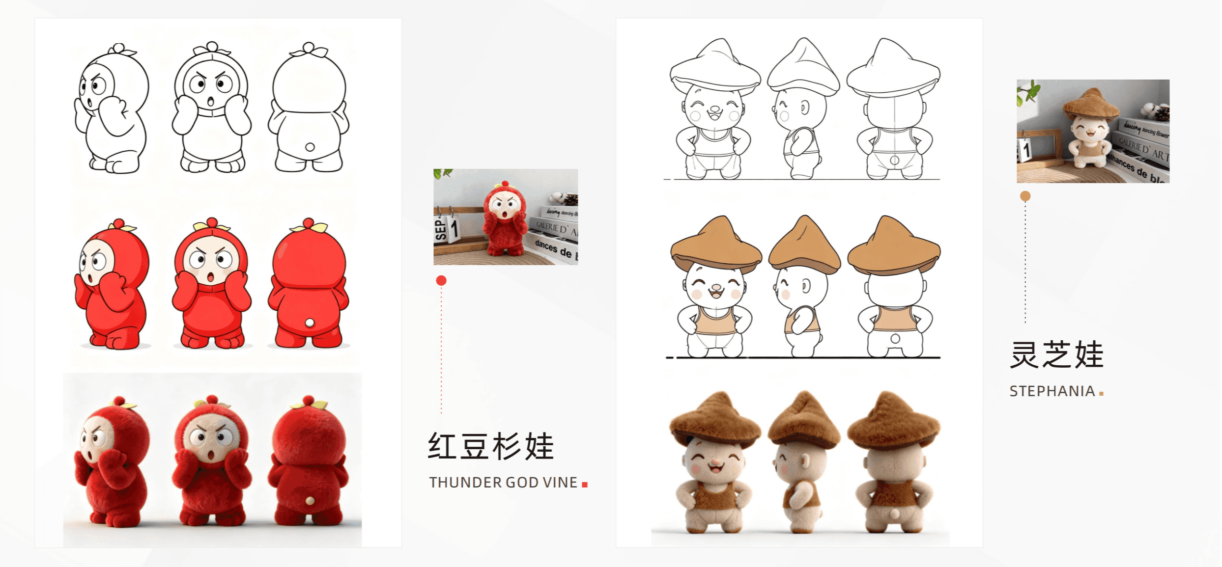 中医药大学小小本草IP设计