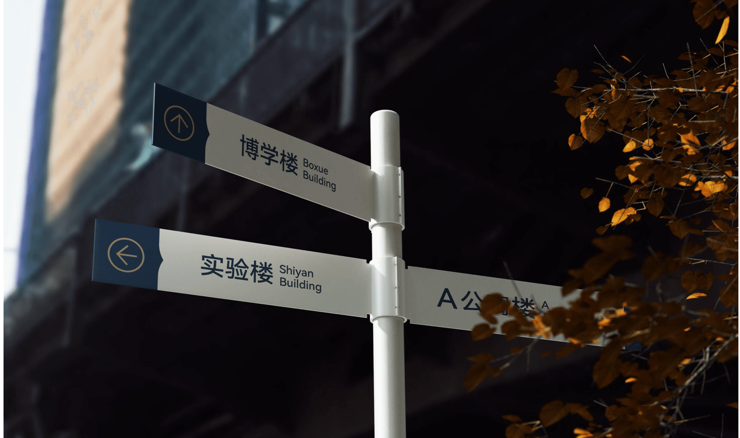 实验学校导视系统设计